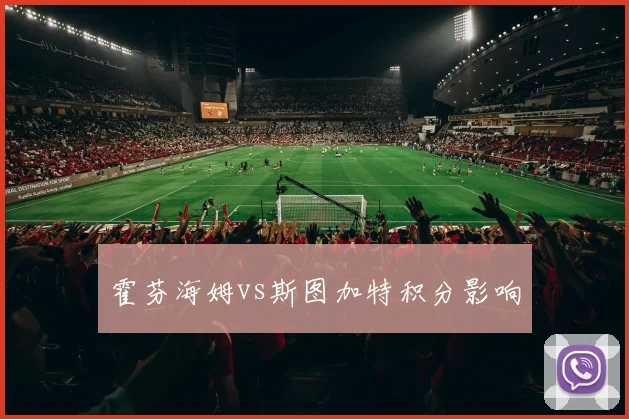 霍芬海姆vs斯图加特积分影响